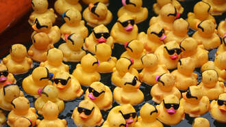 Best Bets for the Weekend, Mar 21- Mar 23