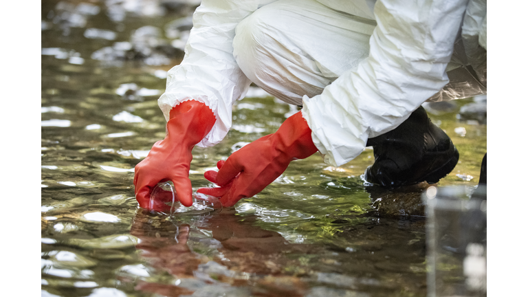 Scientist examining toxic water samples