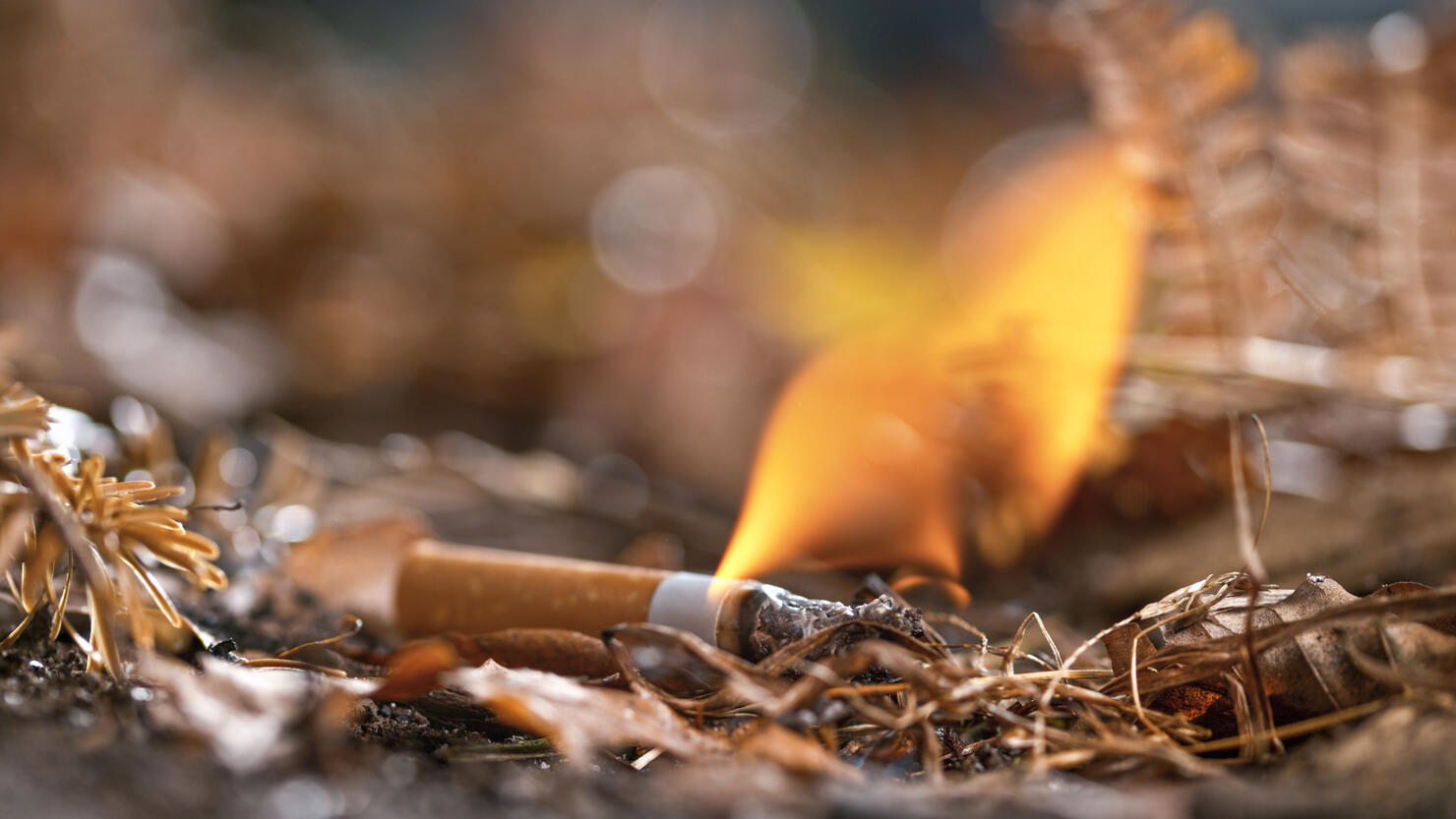 Burning cigarette butt on ground