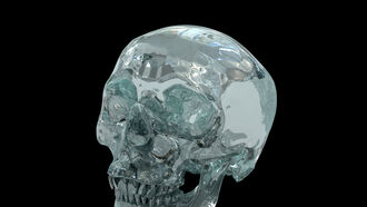 Mitchell-Hedges Crystal Skull / Murder in Central Florida