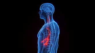 Vagus Nerve & Healing / Near-Death Experiences