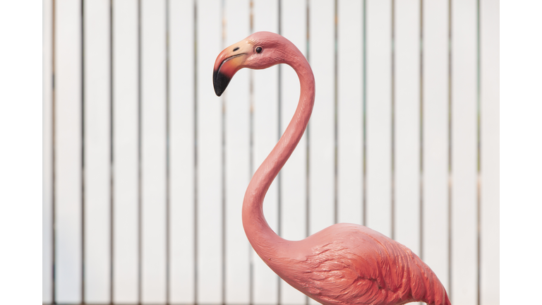 Flamingo birds figurehead in White color House fence.