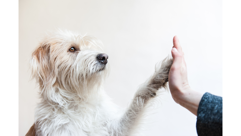High five!