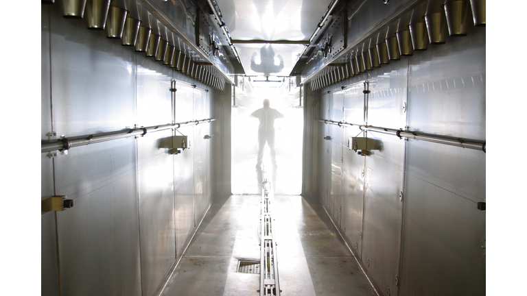 Figure standing in doorway outside refrigerator