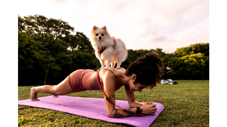 Young woman doing bridge exercise with dog on her back in a public park
