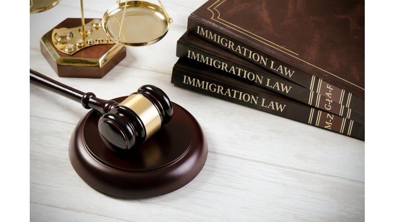 Immigration law book with judges gavel
