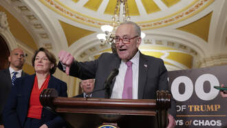 Watch Chuck Schumer Get Totally Humiliated By a Reporter