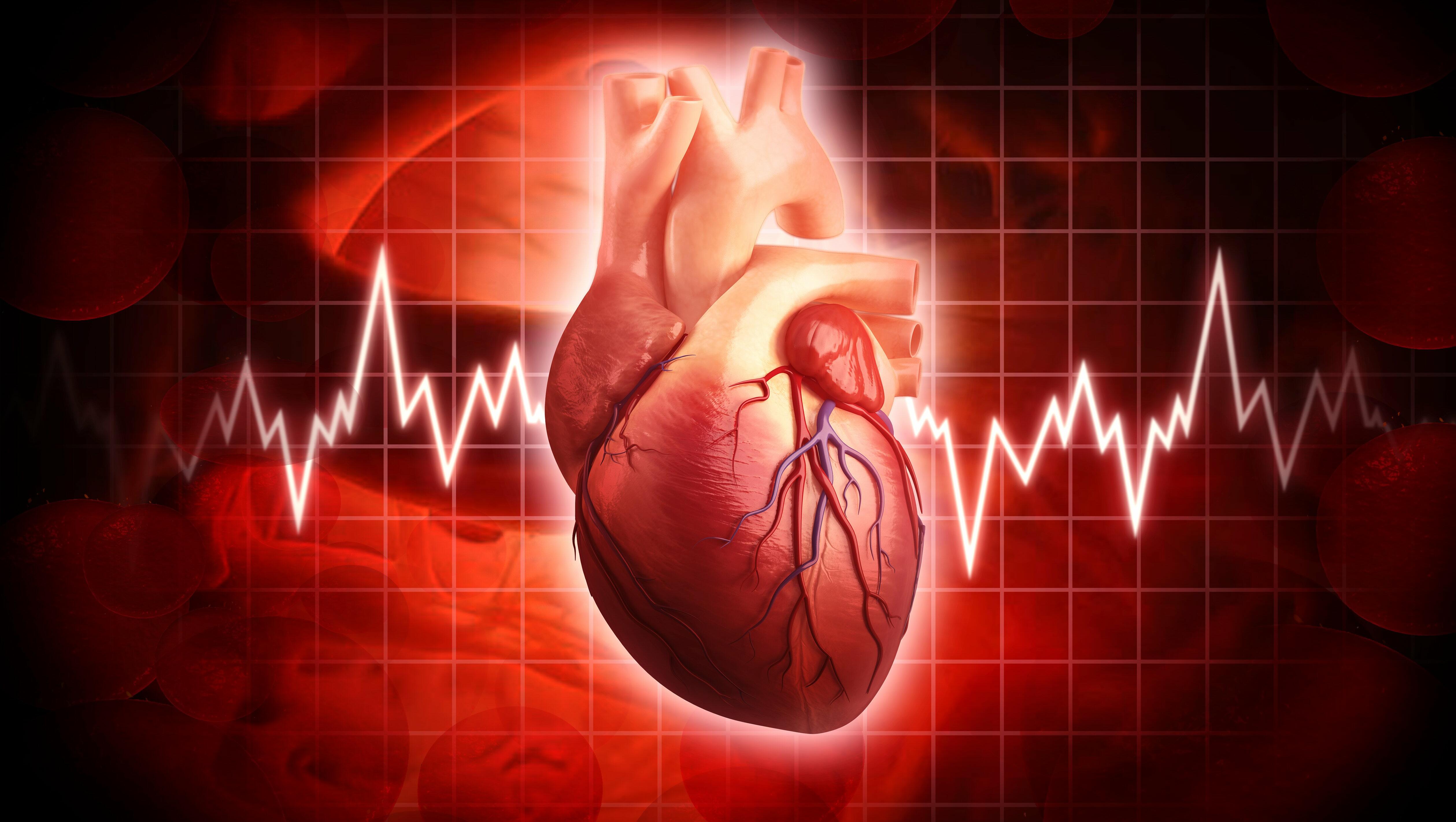 Cardio Health / Open Lines