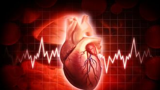 Cardio Health / Open Lines