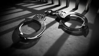 Mechanicville Robbery Suspect Arrested in Schenectady