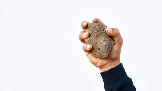 Elementary School Teacher Accused Of Throwing Rocks At Student