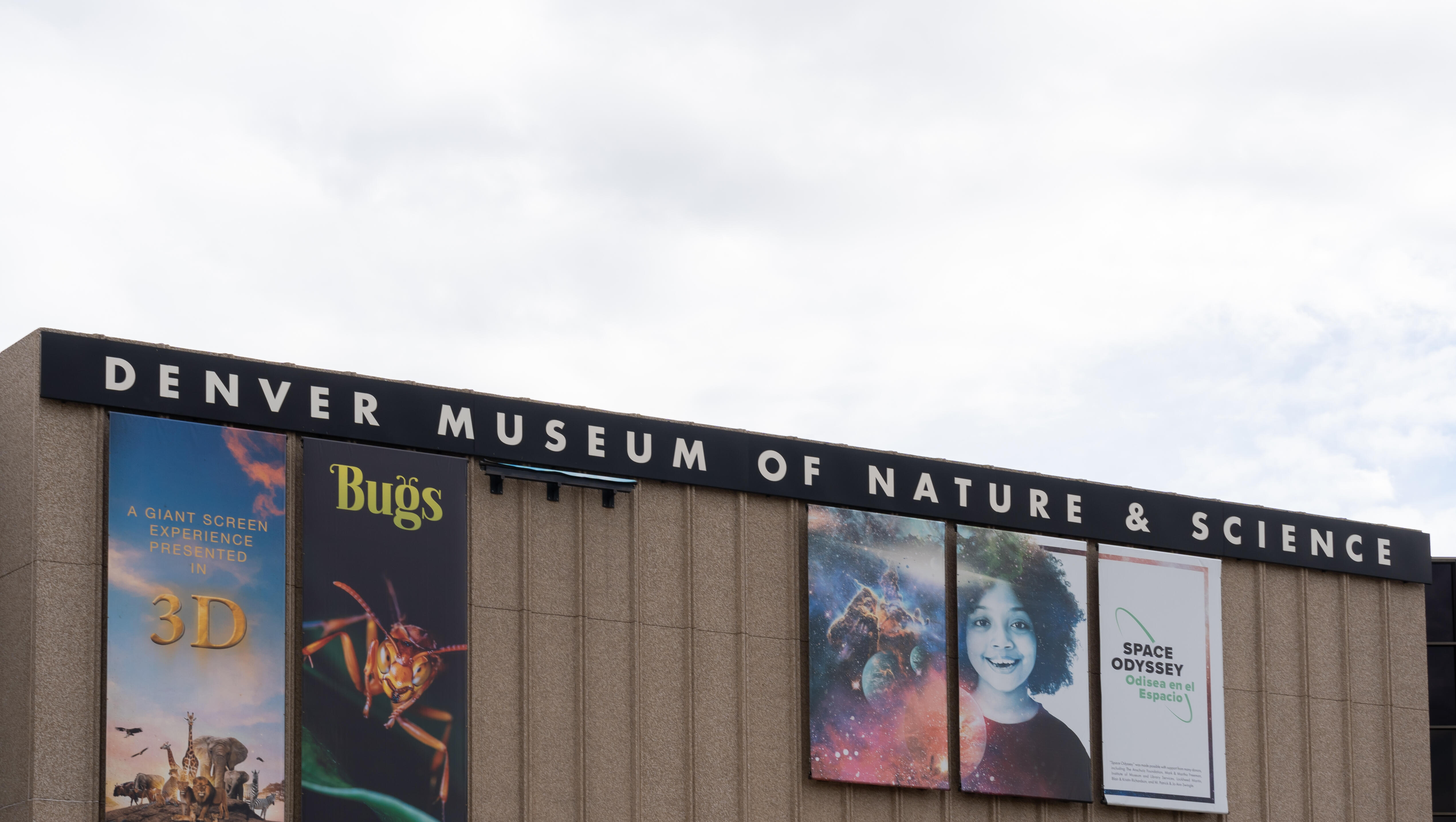 Luke Fernandez of the Denver Museum on the New Dea Gems & Minerals Hall