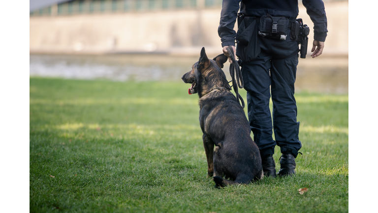 Police patrol with dog