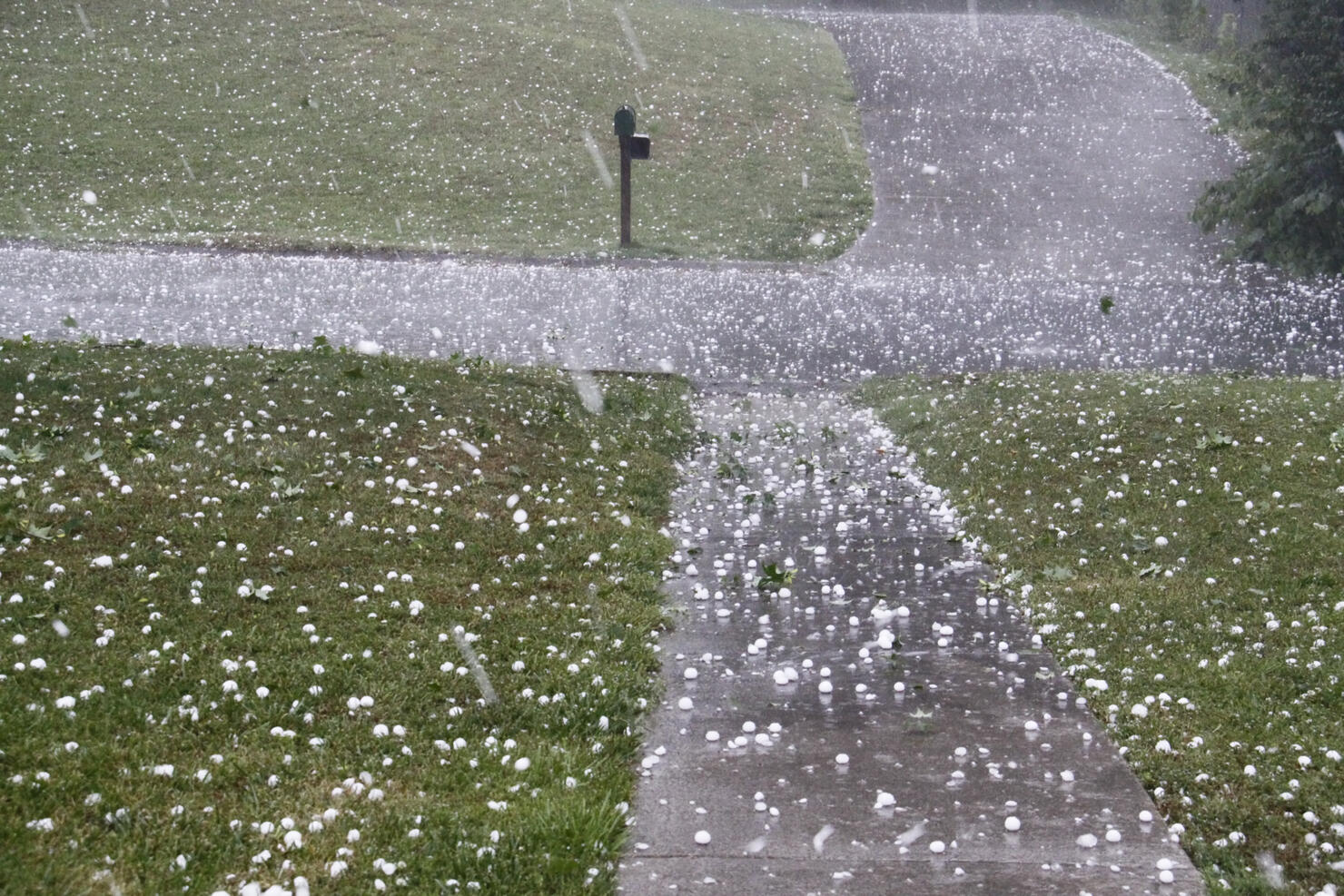 Hail of a Storm