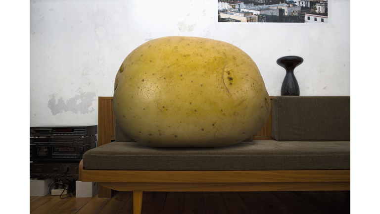 Couch potato