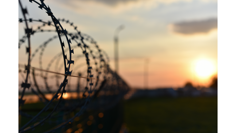 barbed wire fence