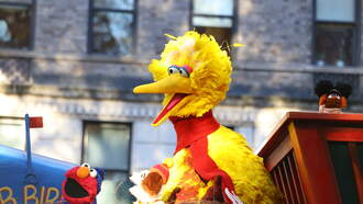 Shock Collar Question (11/21/25)