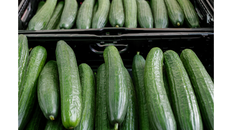 Top view, various type of cucumbers on plastic basket of stall.