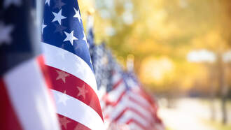 🎖️ Veterans Day Movies That’ll Actually Move You