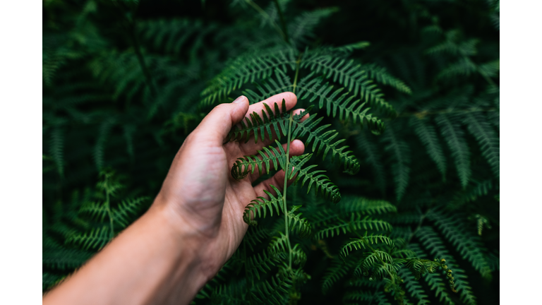 Understanding Addiction / Plant Spirit Healing