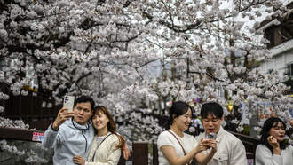 Runner Reunites With Heroes Who Saved Her Life at Cherry Blossom Race 🌸❤️