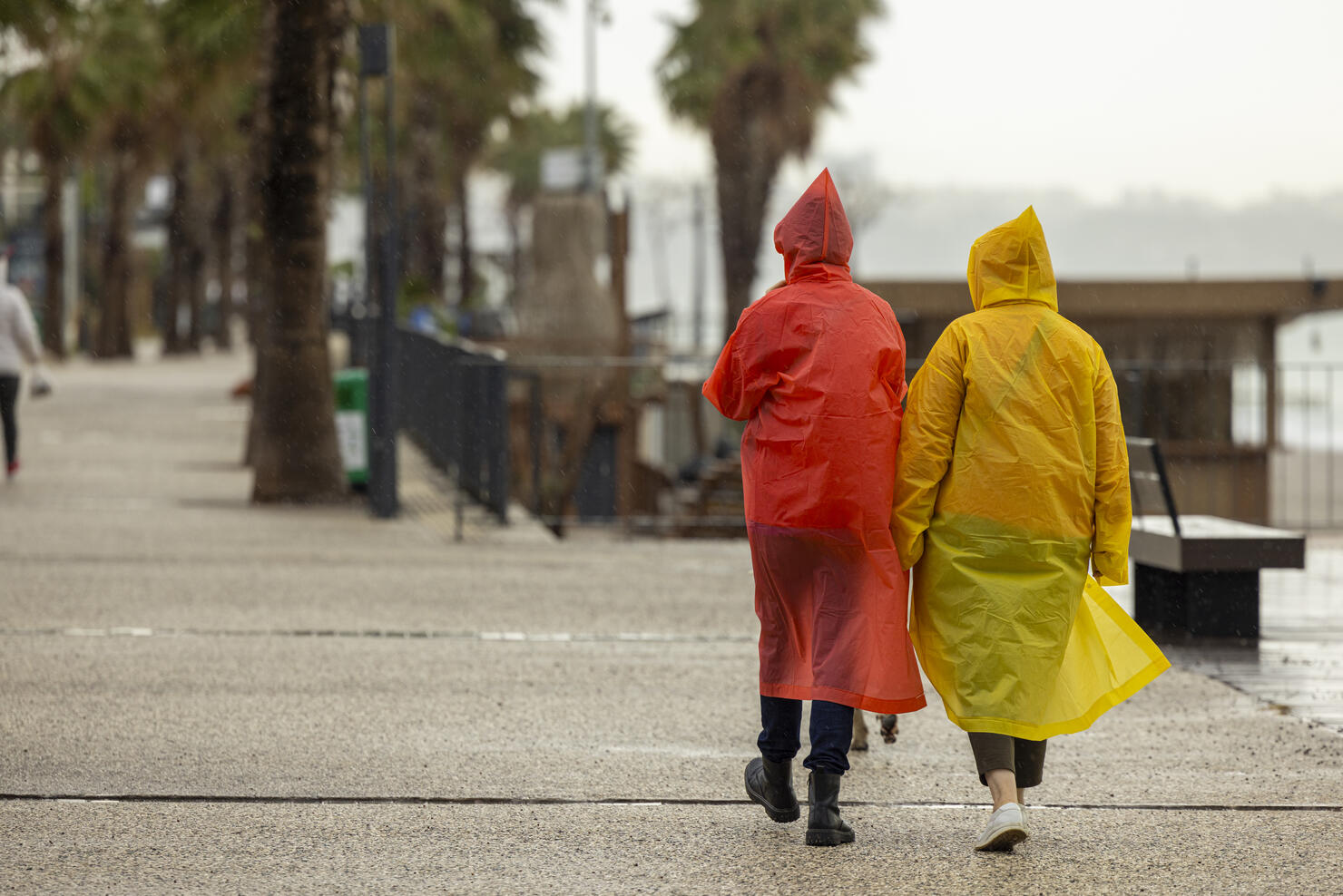 people walking at rainy weather