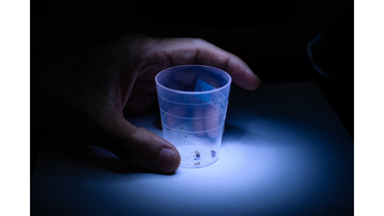 SKOREA-PESTS-BEDBUGS