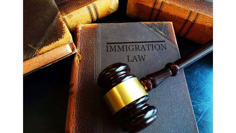 Immigration Law concept