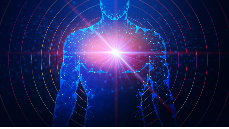 Alternative Healing / Exploring Paranormal Beliefs