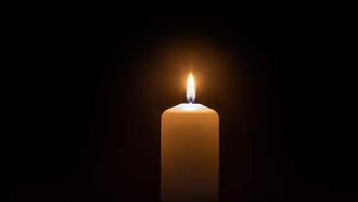 Tree Falls on Truck in Gardiner, Killing Woman, Injuring Man