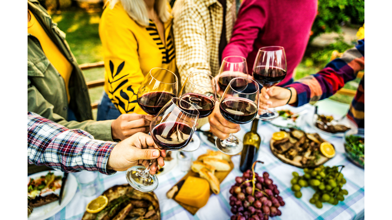 Happy friends drinking red wine at bbq dinner party - Close up photo of hands holding wineglasses
