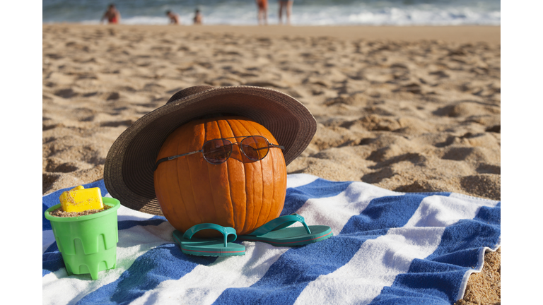 halloween pumpkin sunbathing