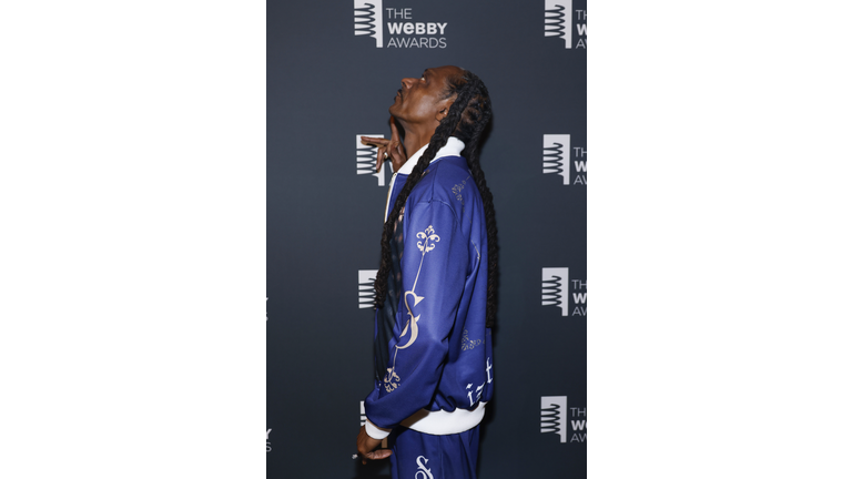 29th Annual Webby Awards