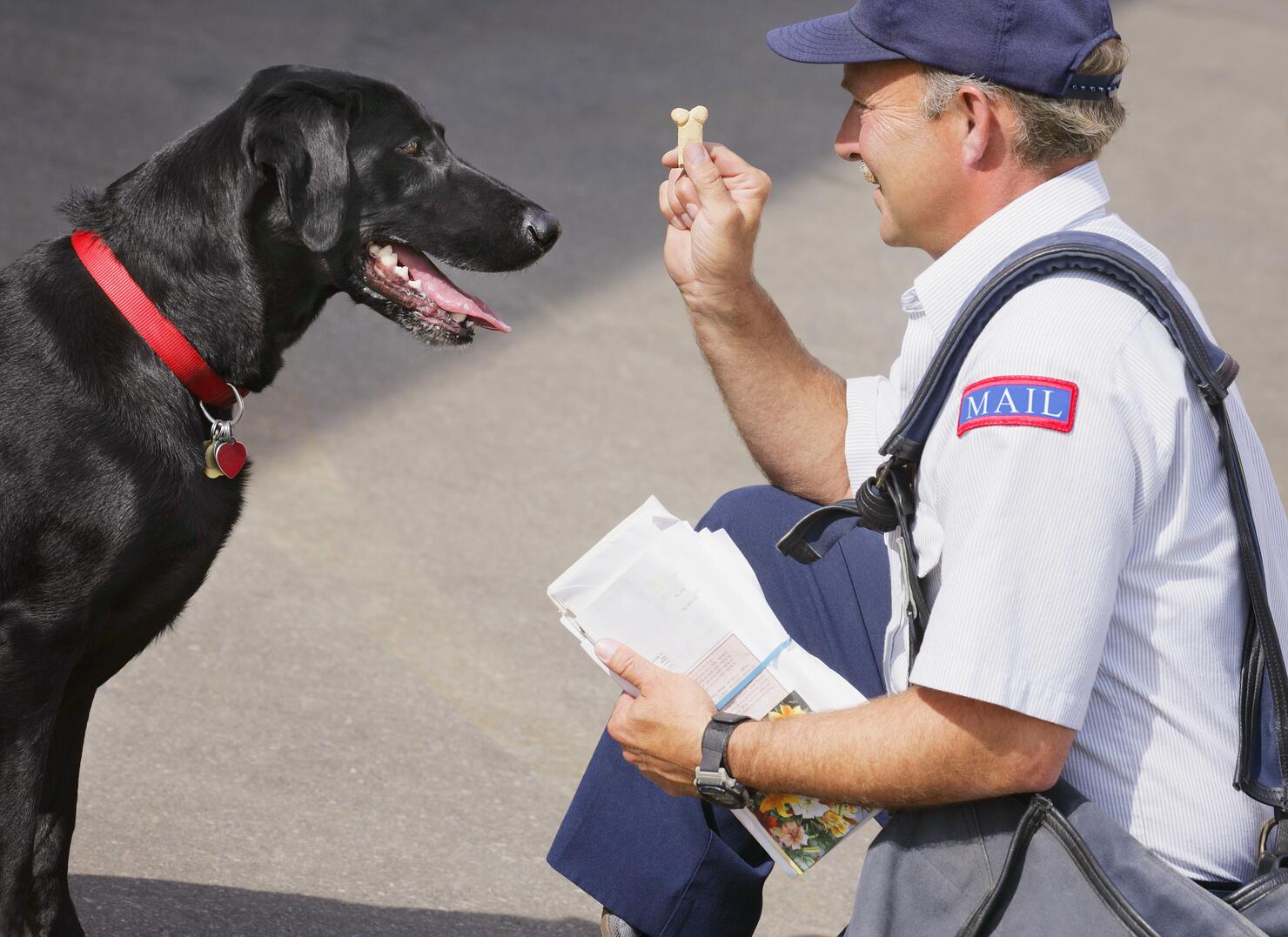 A mailman on duty