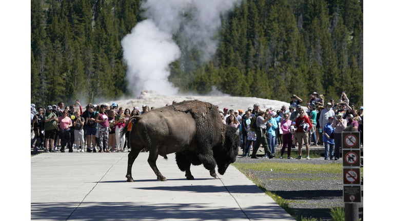 Parts Of Yellowstone National Park Reopen After Historic Flooding