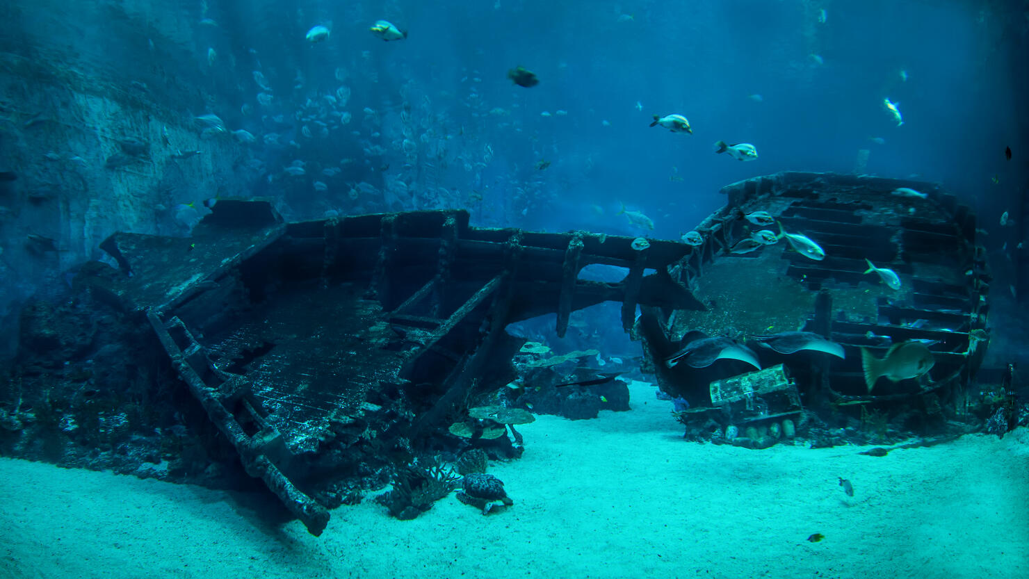 The underwater shipwreck