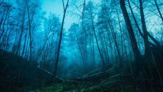 Immigration & Protests / Expeditions & Mysteries