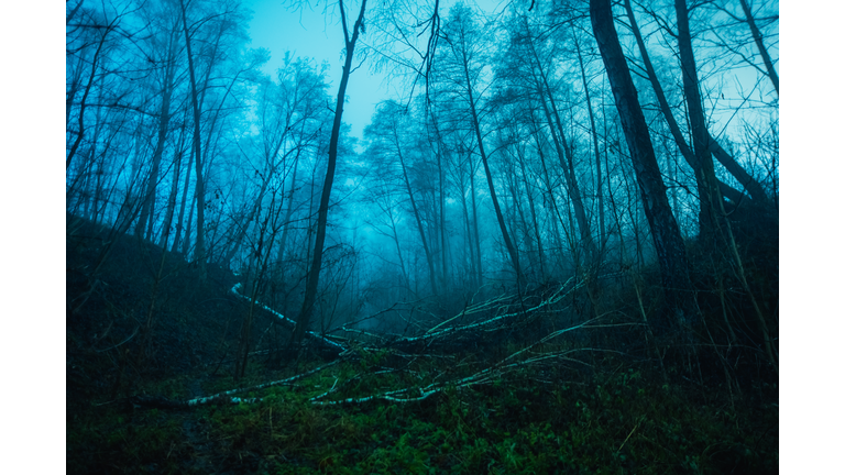 Immigration & Protests / Expeditions & Mysteries