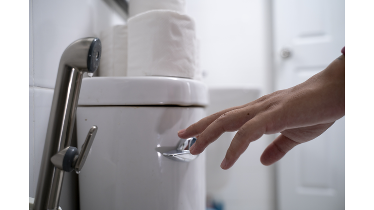 Flush toilet