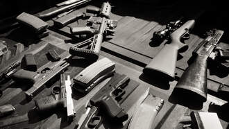 Des Moines Police Report 702 Guns Secured as of November 30