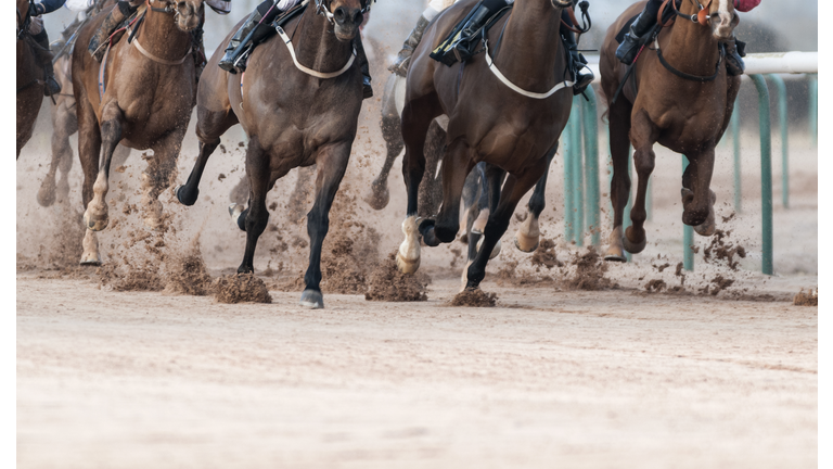 Horse Racing on Track with Copy Space