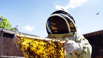 Santa Rosa Boy's Beehive Project Sparks Zoning Change