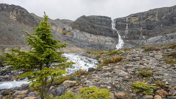 Massive Rockslide At Banff National Park Leaves At Least One Hiker Dead