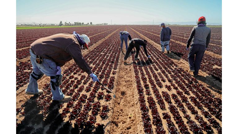 US-CLIMATE-ENVIRONMENT-WATER