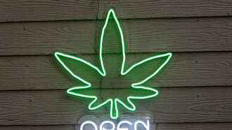 Alabama THC shops go up in smoke