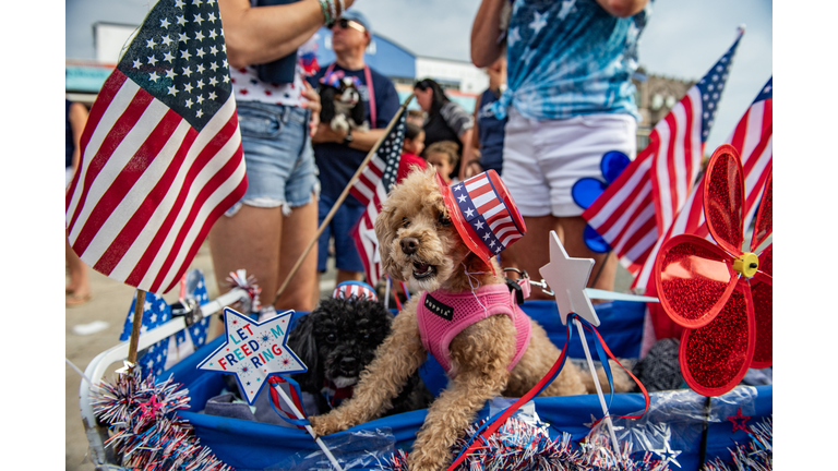 TOPSHOT-US-LIFESTYLE-HOLIDAY-ANIMAL-OFFBEAT