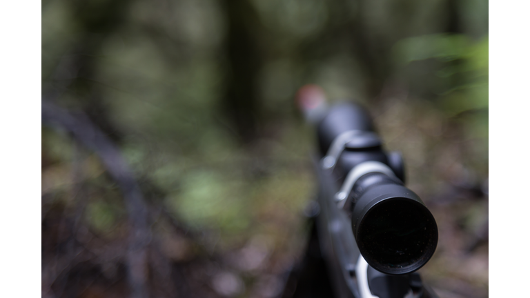 Rifle scope
