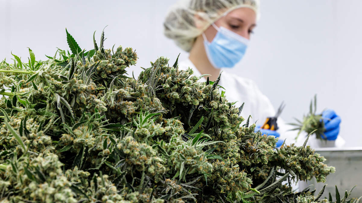 Nebraska Governor Signs Emergency Cannabis Regulations
