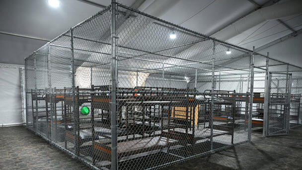 Democrats Object as Detainees Due to Arrive at Alligator Alcatraz