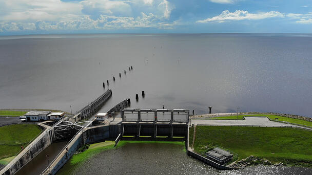  More Toxic Algae Advisories Issued Across Cape 
